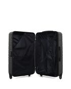 Set aus 2 großen Koffern und Kabine Tiger dunkelgrau