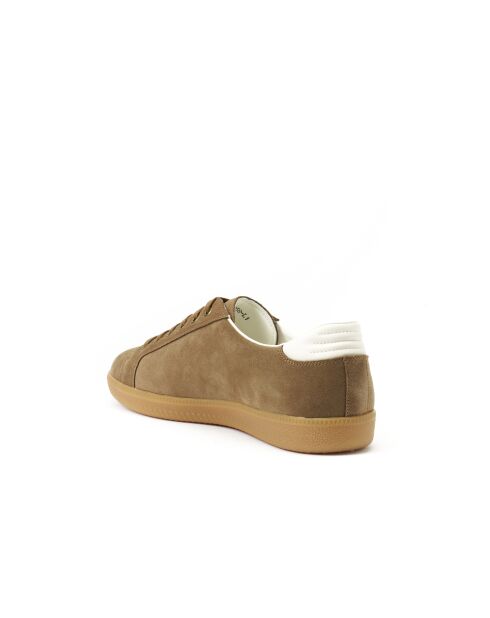 Baskets basses Nolan en cuir daim marron