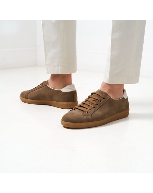 Baskets basses Nolan en cuir daim marron