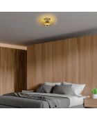 Karsortel N 641 1 lampada da soffitto dorata - 42 x 42 x 25 cm