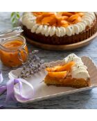 Set van 6 kleine rechthoekige witte keramische zeeschelpborden - 20,5x11,5 cm