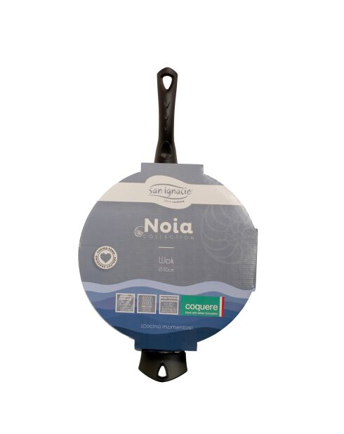 Set van 2 blauwe potten met deksel + wok