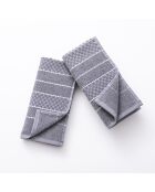 Set de 2 paños de cocina grises