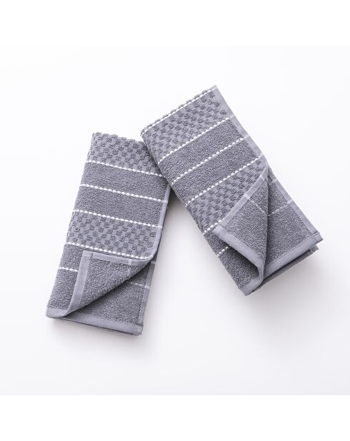 Set de 2 paños de cocina grises