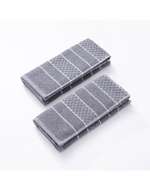 Set de 2 paños de cocina grises