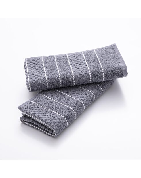 Set de 2 paños de cocina grises
