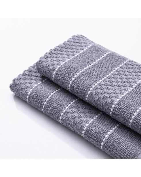 Set de 2 paños de cocina grises