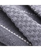 Set de 2 paños de cocina grises