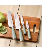 Lot de 4 Couteaux verts