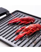 Rechteckiger Grill mit schwarzen Griffen - D. 43×23 cm