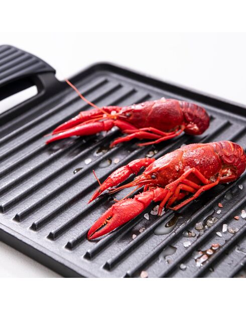 GriIl rectangulaire avec poignées noir - D. 43×23 cm