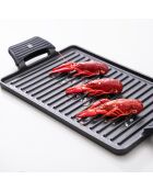 Rechteckiger Grill mit schwarzen Griffen - D. 43×23 cm