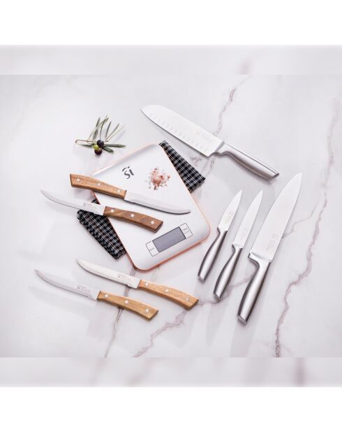 4 Couteaux de cuisine argentés