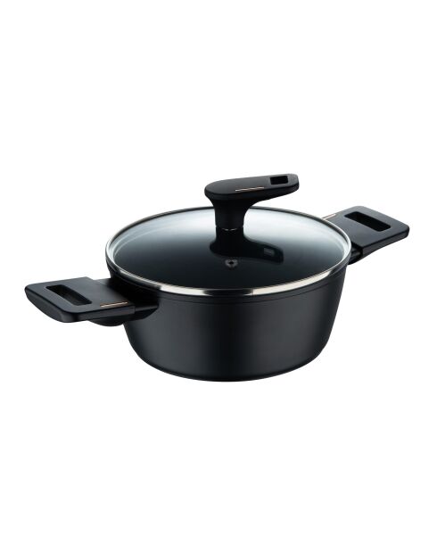 Set van 2 ovenschotels met zwarte deksels