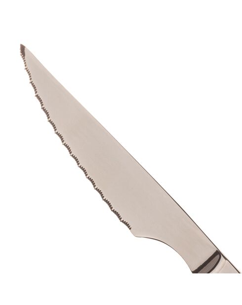 Lot de 6 Couteaux à steak argentés - D. 23 cm