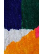 Tapis collection Them intemporel multicolore - 220x150cm