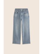 Vaqueros azules Robin