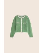 Groen vest in het algemeen