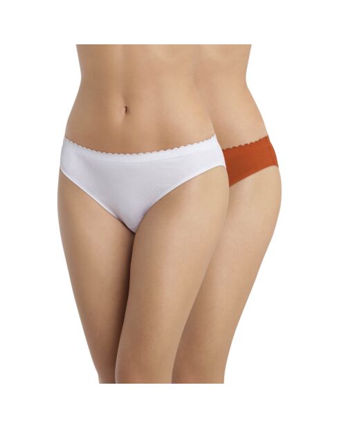 2 linguette Body Touch Easy multicolori