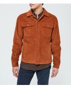 Veste Firvo ML camel