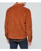 Veste Firvo ML camel