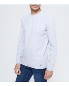 Asiply graues meliertes Langarmshirt