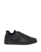 Sneakers en cuir Layton noires