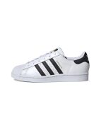 Wit/zwarte Superstar leren sneakers