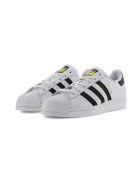 Wit/zwarte Superstar leren sneakers