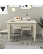 Kiev travertin keukentafel - 110x75x72 cm