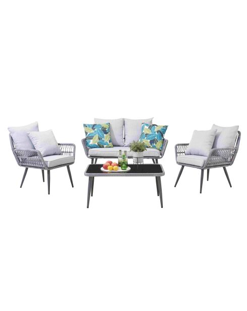 Lichtgrijs 4-zits tuinmeubilair