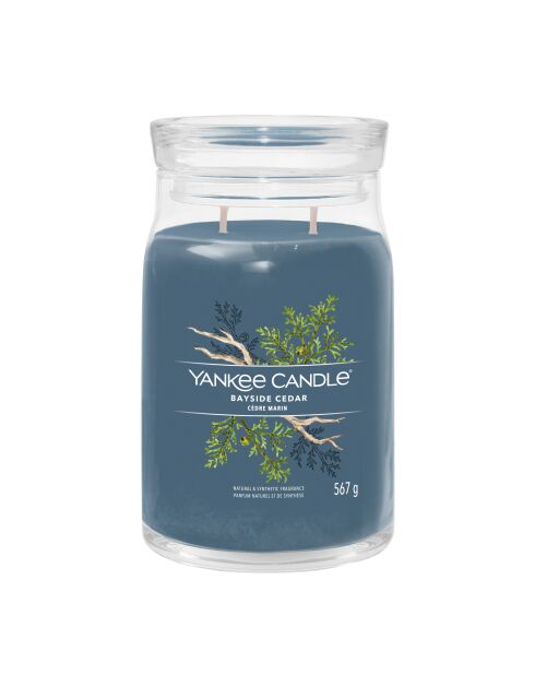 Grande Bougie Signature Cèdre Marin - 1 mèche