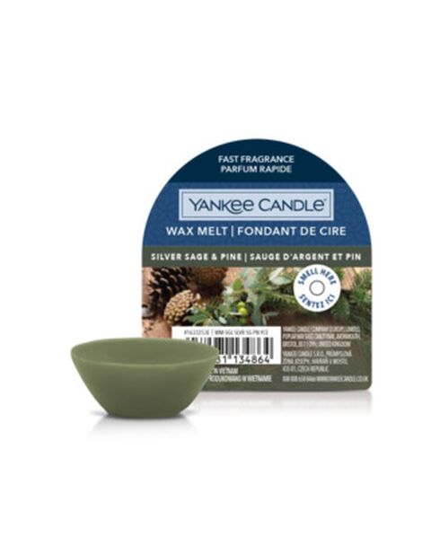 Fondant de cire Sauge d'Argent et Pin - 1 mèche