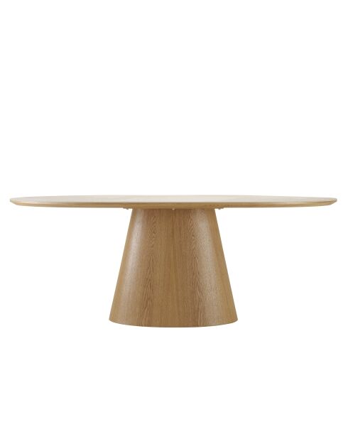 Tavolo da pranzo con piano in ceramica - 200x90x76,3 cm