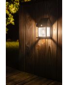 Applique murale solaire avec détecteur de présence - 12 -x 6,2x17 cm