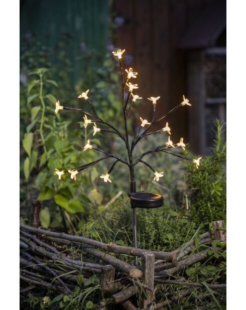 Arbuste à fleurs solaire H72