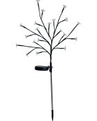 Arbuste à fleurs solaire H72