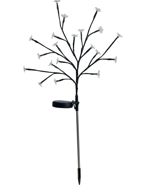 Arbuste à fleurs solaire H72