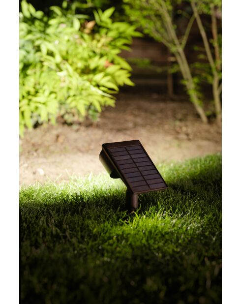 Spot solaire à planter