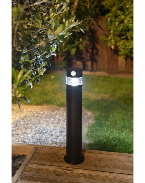 Borne solaire forte clarté Inox avec détecteur
