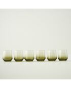 Set de 6 vasos de café de color verde