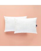 Cuscino matrimoniale Bella bianco - 50x70 cm