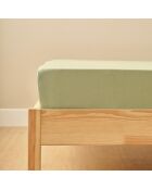 Lenzuolo basico con angoli elasticizzati 100% cotone satinato double misty green - 160x200x35 cm