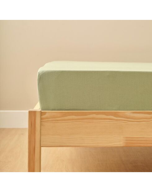 Lenzuolo basico con angoli elasticizzati 100% cotone satinato double misty green - 160x200x35 cm