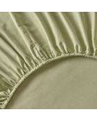Lenzuolo basico con angoli elasticizzati 100% cotone satinato double misty green - 160x200x35 cm