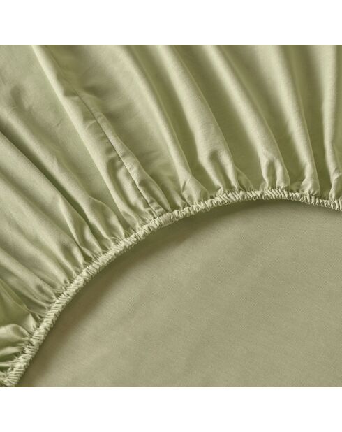 Lenzuolo basico con angoli elasticizzati 100% cotone satinato double misty green - 160x200x35 cm
