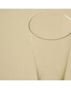 Bierglas met natuurlijke mok - 370 cc