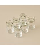 Set di 6 bicchieri da acqua da caffè verdi