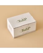 Set di 6 bicchieri da acqua da caffè verdi