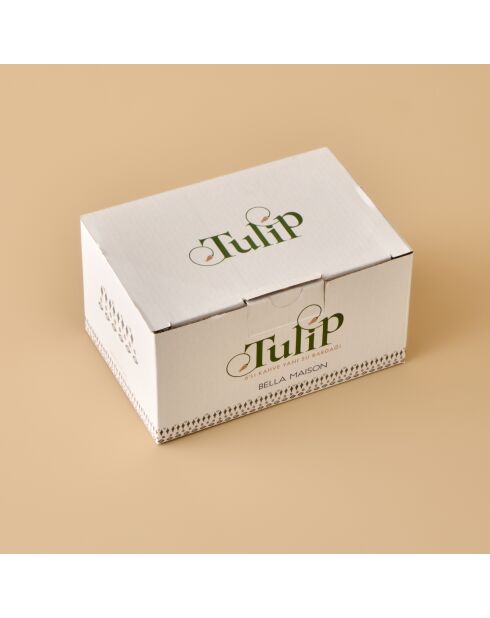 Set di 6 bicchieri da acqua da caffè verdi